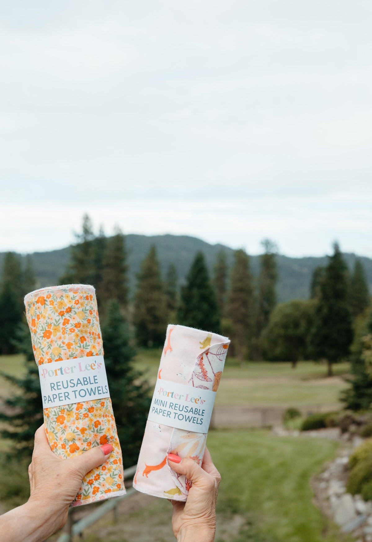 Reusable Paper Towels--Blue Buffalo Check
